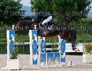 Marangotto Liberty Girl GioCav2013 S5 3720 : Campionati Italiani Giovani Cavalli, Cattolica, Liberty Girl, Marangotto Marco, ph Stefano Secchi ©